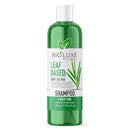 LEAF-BASED SHAMPOO