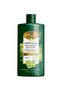 AMLA & ROSEMARY BIO- VOLUME CONDITIONER